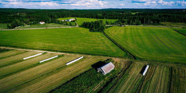 Estudios de suelos agrícolas en el Alt Empordà